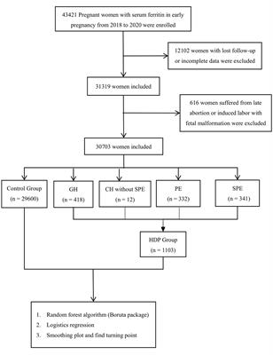 Correlation between serum ferritin in early pregnancy and hypertensive disorders in pregnancy